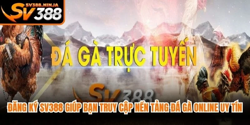 Đăng ký SV388 giúp bạn truy cập nền tảng đá gà online uy tín hàng đầu