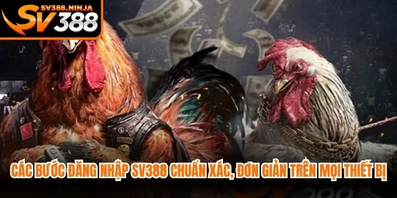 Các bước đăng nhập SV388 chuẩn xác, đơn giản trên mọi thiết bị