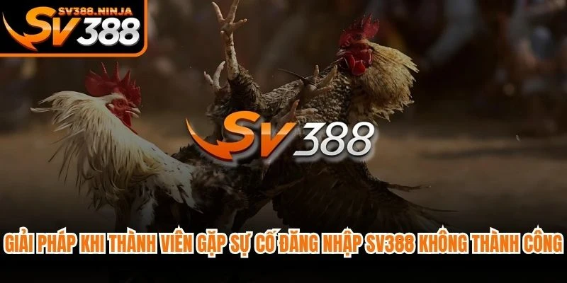 Giải pháp khi thành viên gặp sự cố đăng nhập SV388 không thành công