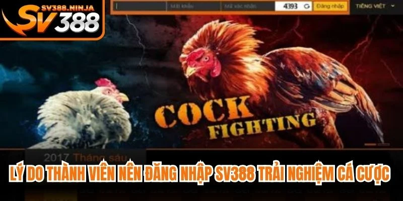 Lý do thành viên nên đăng nhập SV388 trải nghiệm cá cược mỗi ngày