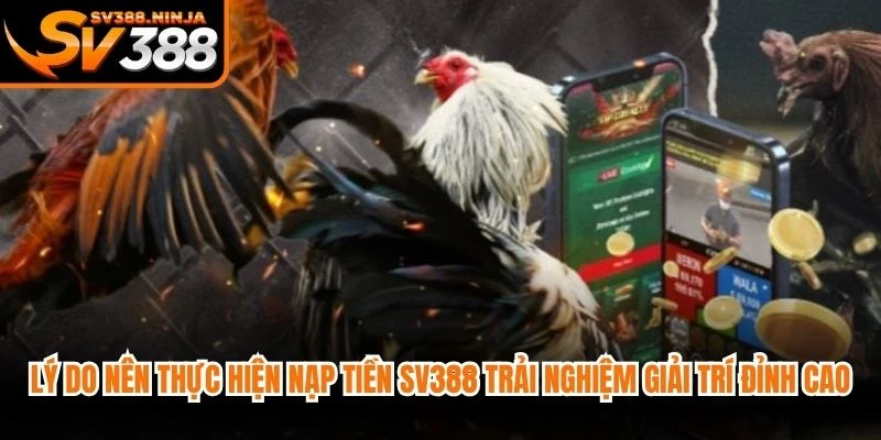 Lý do nên thực hiện nạp tiền SV388 trải nghiệm giải trí đỉnh cao