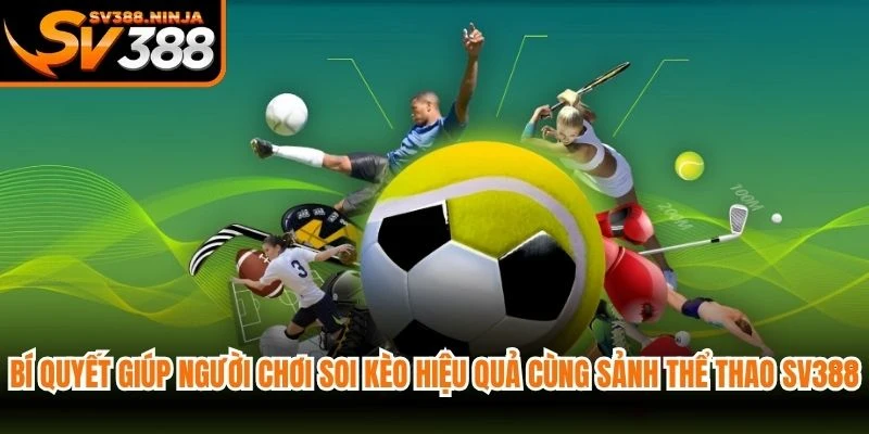 Bí quyết giúp người chơi soi kèo hiệu quả cùng sảnh thể thao SV388