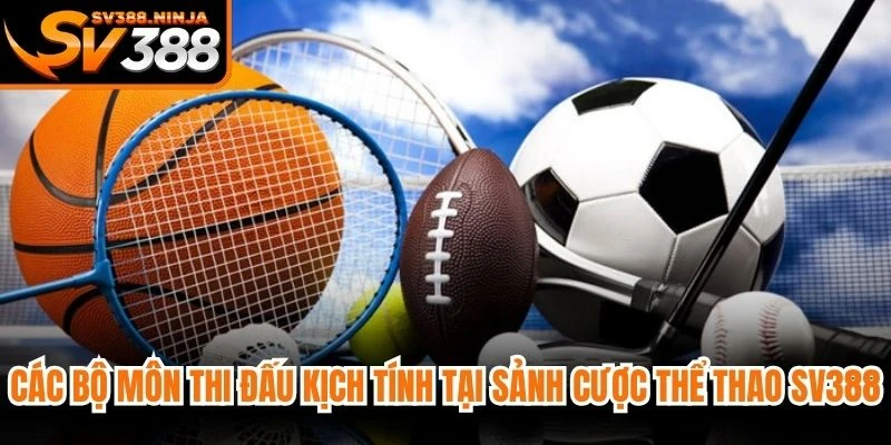 Các bộ môn thi đấu kịch tính tại sảnh cược thể thao SV388